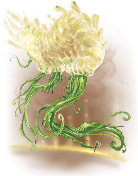 barathu.jpg barathu.jpg