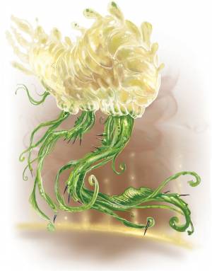 barathu.jpg barathu.jpg